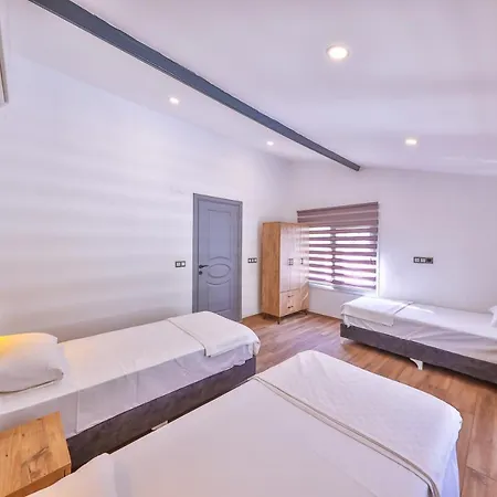 Apartment 3 House
